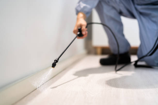 Licensed Termite Control service in Milton, LA - Show Me Pest Control